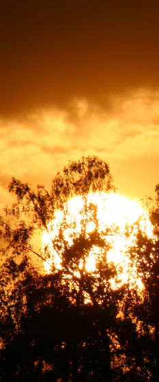 The Sun